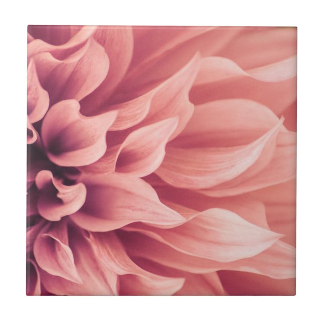 Dahlia Flower Blossom Ceramic Tile (Front)