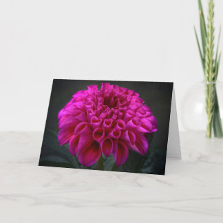 Dahlia flower card
