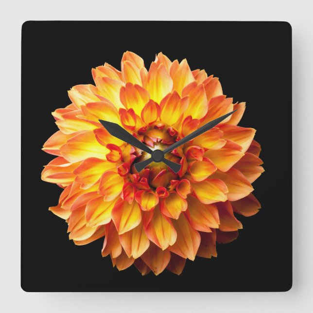 Dahlia flower floral square wall clock (Front)