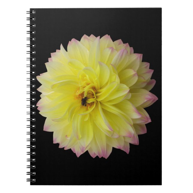 Dahlia Flower Notebook (Front)