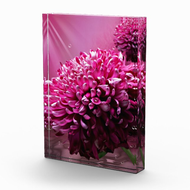 Dahlia Flowers Photo Block (Right)