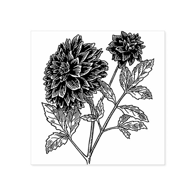 Dahlia flowers  Rubber stamp (Imprint)