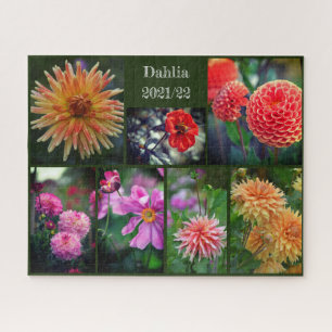Dahlia Flowers Seven Photo Collage 520pc Jigsaw Pu Jigsaw Puzzle