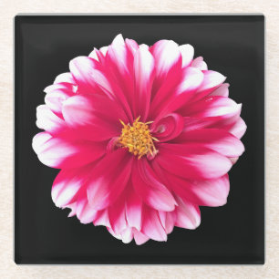 Dahlia Glass Coaster