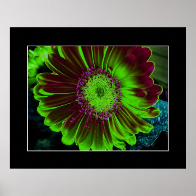 Dahlia Green Poster (Front)
