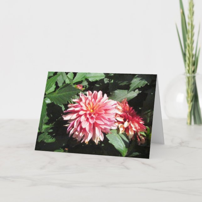 Dahlia Greeting Card (Front)