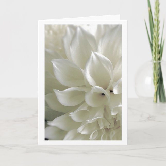 Dahlia Greeting Card (Front)
