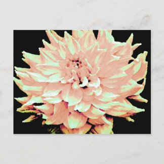 Dahlia - Honeymoon  - pale blush peach Postcard