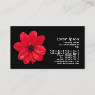 Dahlia in the Rain - Black Business Card