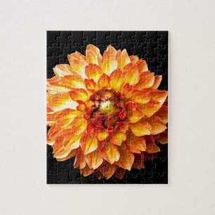 Dahlia Jigsaw Puzzle