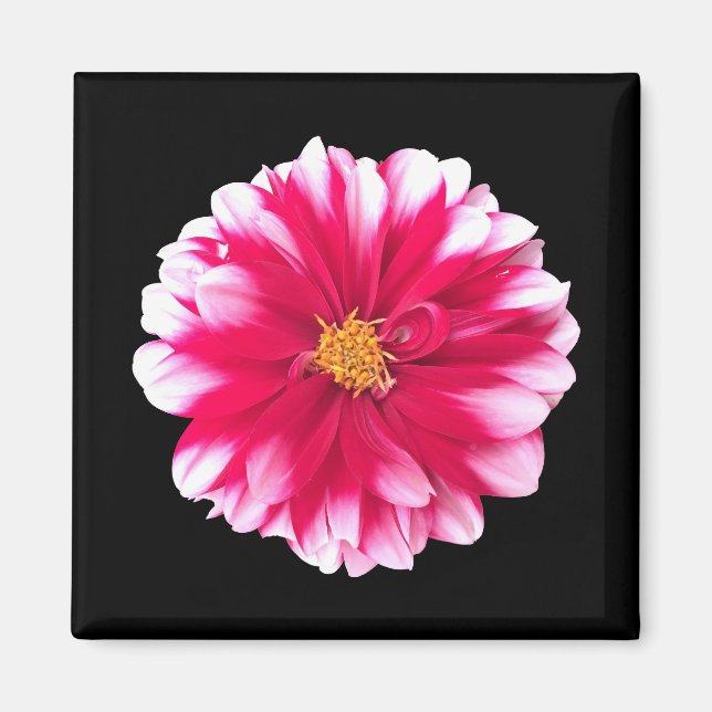 Dahlia Magnet (Front)