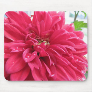 dahlia mouse pad