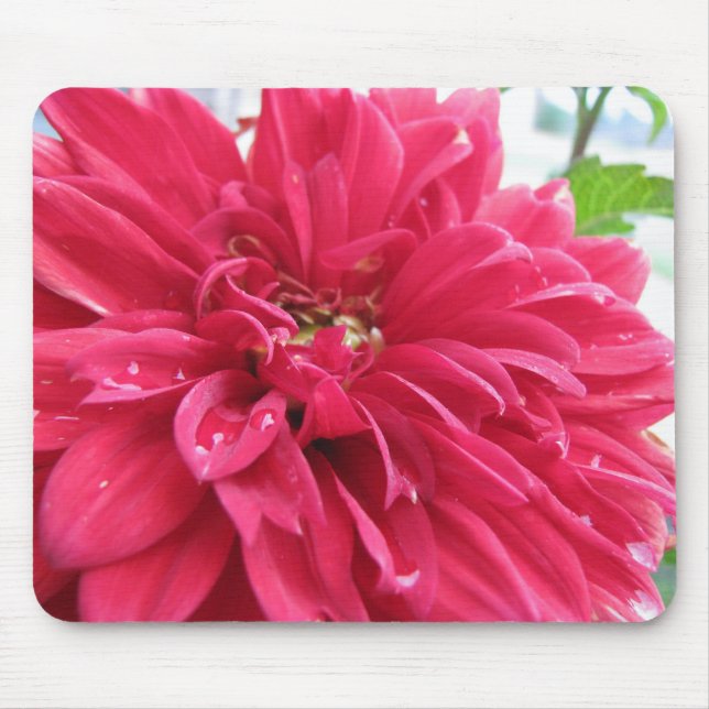 dahlia mouse pad (Front)