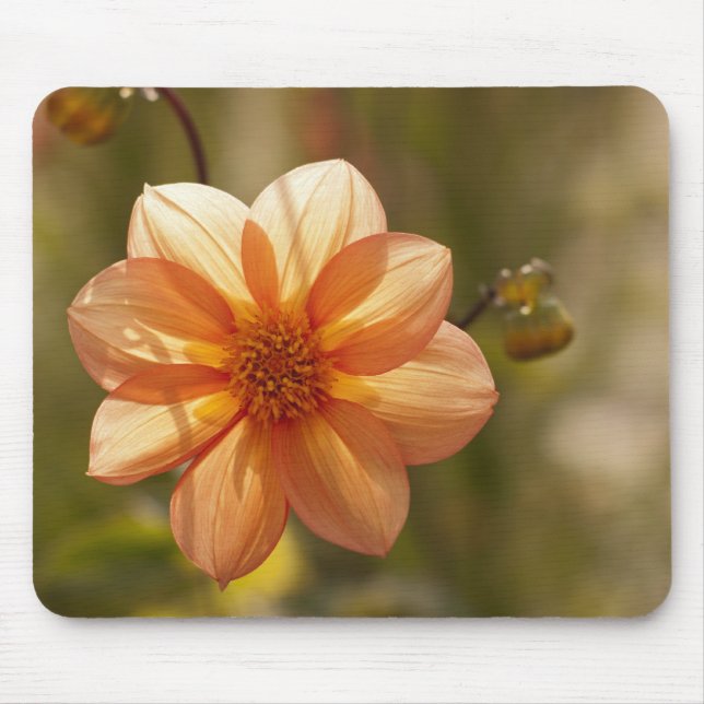 Dahlia Mousepad (Front)