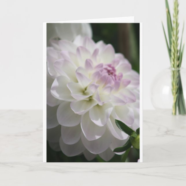Dahlia Note Card (Front)