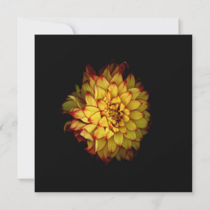 Dahlia Notecards and Greeting Cards