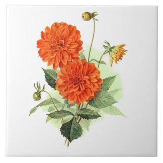 Dahlia 'Orange Fire King' Ceramic Tile