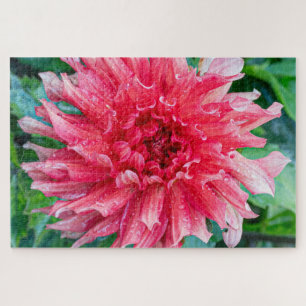 Dahlia Pink Canadian Flower Photography Jigsaw Puzzle