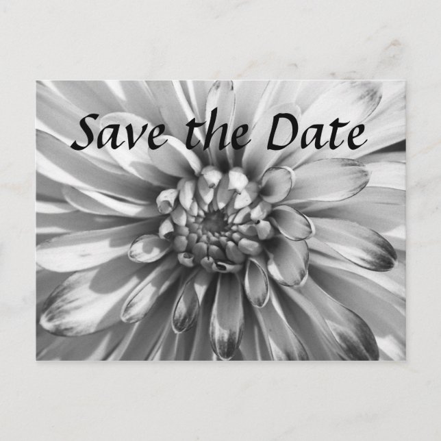 dahlia Save the Date Announcement Postcard (Front)