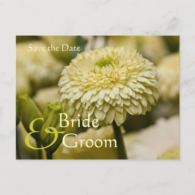Dahlia • Save the Date Postcard (Front)