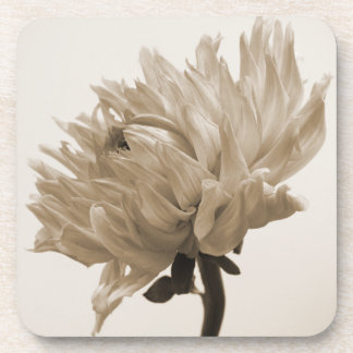 dahlia sepia print coaster