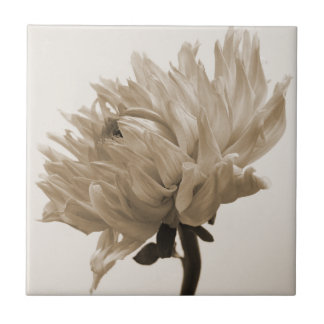 dahlia sepia print tile