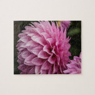 Dahlia Spring Flower Jigsaw Puzzle