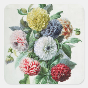 Dahlia Square Sticker