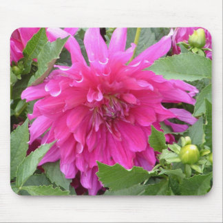 "Dahlia...true colours" Mouse Pad