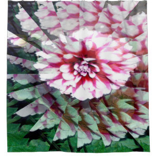 Dahlia twirl..... shower curtain