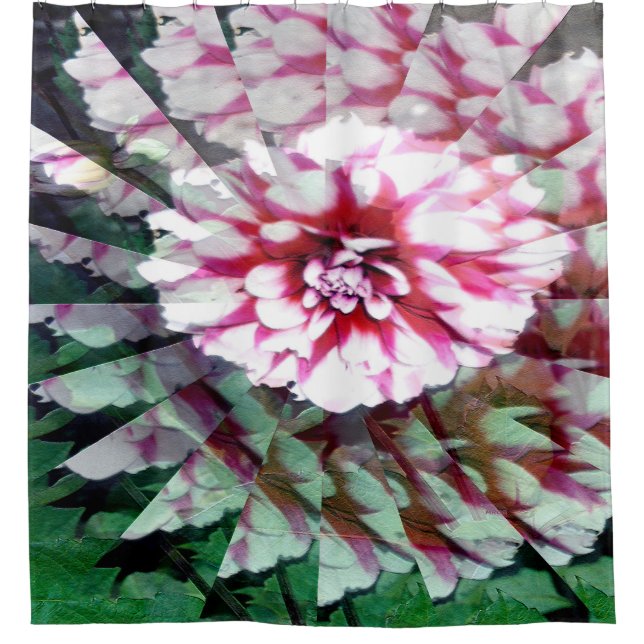 Dahlia twirl..... shower curtain (Front)