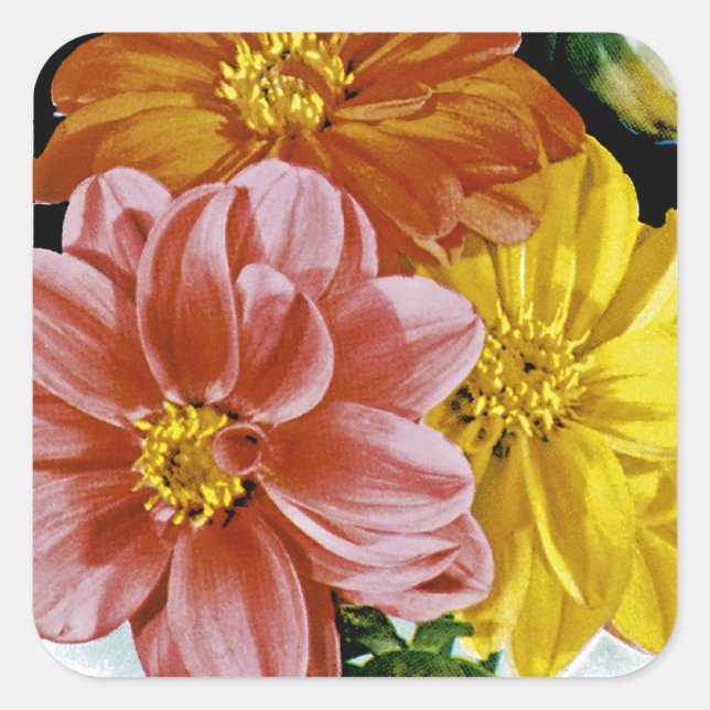 Dahlia Vintage Seed Packet Square Sticker (Front)