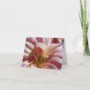 Dahlia with Bee Card