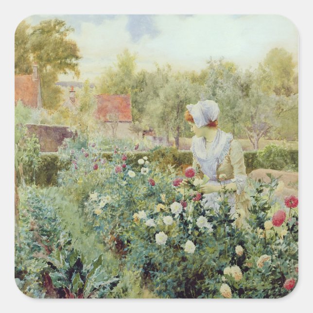 Dahlias, 1896 square sticker (Front)