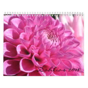 Dahlias 2011 Calendar
