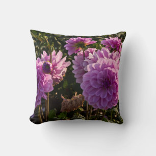 Dahlias, dahlia farm, Canby, Oregon, USA 5 Cushion
