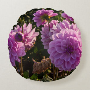 Dahlias, dahlia farm, Canby, Oregon, USA 5 Round Cushion