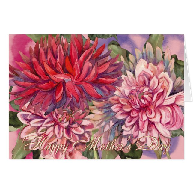 dahlias flowers (Front Horizontal)
