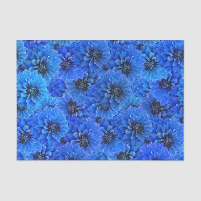 Dahlias in royal blue - floral design,  tissue paper (Front)
