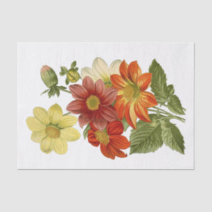 Dahlias Orange White Yellow Red Flower Floral Tissue Paper