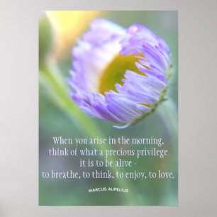 Daily Gratitude Inspirational Quote Floral Poster