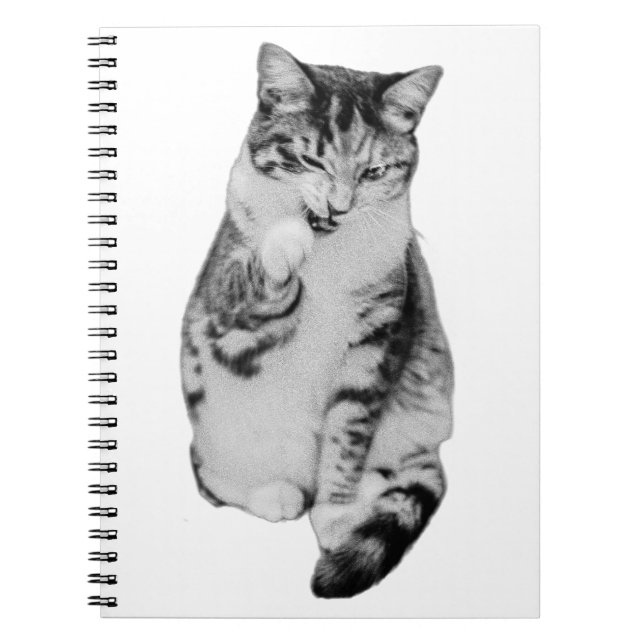 Daily Groom Notebook (Front)