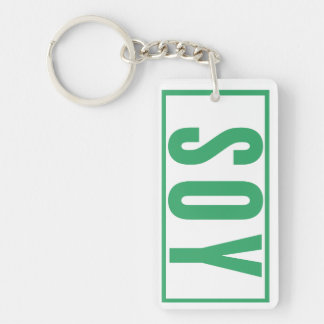 Daily Reminder car keys house keys  Key Ring