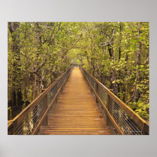 Daintree National Park UNESCO World Heritage Poster