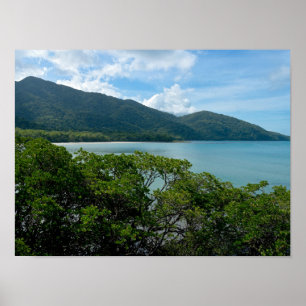 Daintree Rainforest at Cape Tribulation Poster