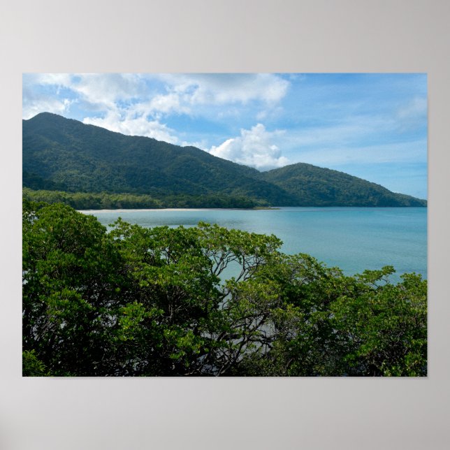 Daintree Rainforest at Cape Tribulation Poster (Front)