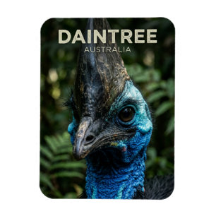 Daintree Rainforest Australia Magnet