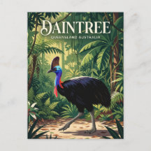 Daintree Rainforest Australia