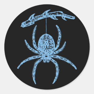Dainty Blue Spider Classic Round Sticker