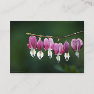Dainty Hearts Mini Print Business Card